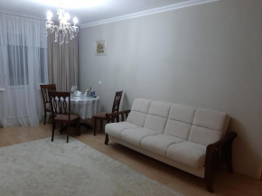 Apartment on Avenu Momyshuly 3A